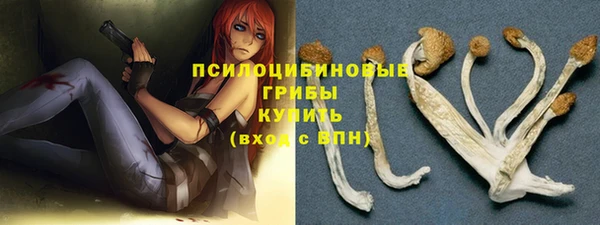 винт Алзамай