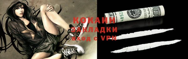 винт Алзамай