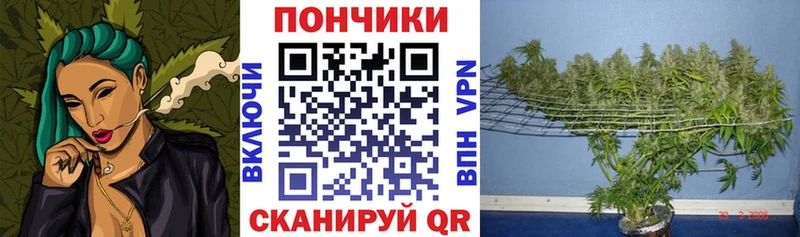 Канабис AK-47 купить наркотик hydra как войти Кемерово